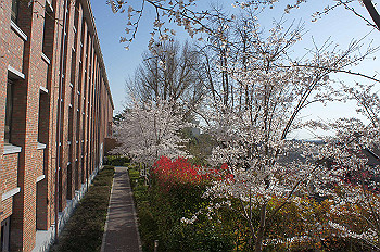 dsc06951_thumb.jpg