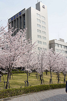 dsc07331_thumb.jpg