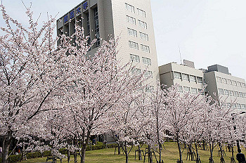 dsc07332_thumb.jpg