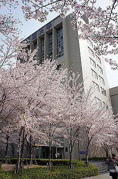 dsc07335_thumb.jpg