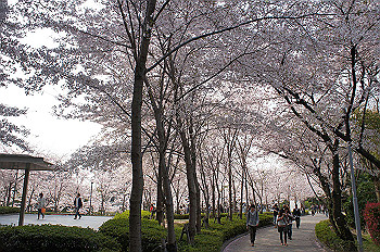 dsc07339_thumb.jpg
