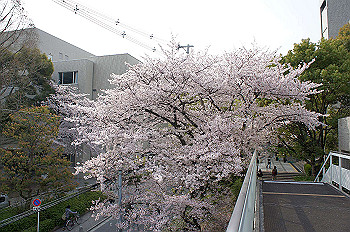 dsc07340_thumb.jpg