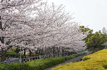 dsc07344_thumb.jpg