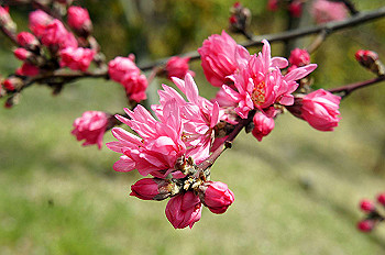 dsc07358_thumb.jpg