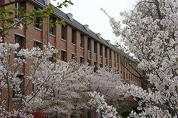 dsc07362_thumb.jpg
