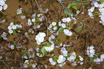 dsc07363_thumb.jpg