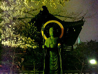 dsc06511_thumb.jpg