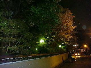 dsc06512_thumb.jpg