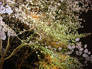 dsc06519_thumb.jpg