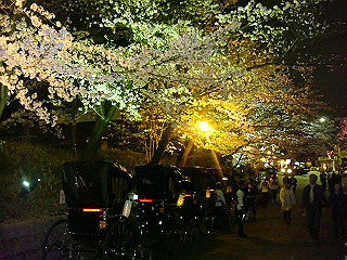 dsc06520_thumb.jpg