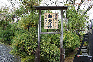 dsc06969_thumb.jpg