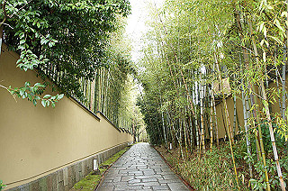 dsc06982_thumb.jpg