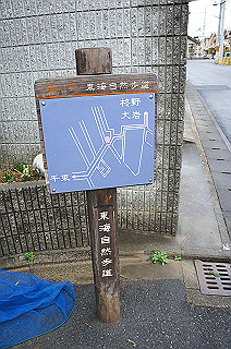 dsc06985_thumb.jpg