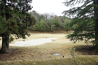 dsc06994_thumb.jpg