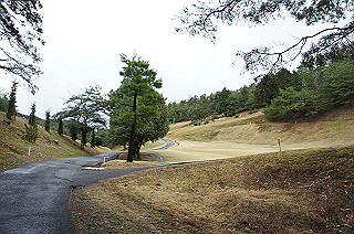 dsc06997_thumb.jpg