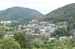 dsc06999_thumb.jpg