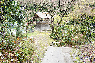 dsc07003_thumb.jpg