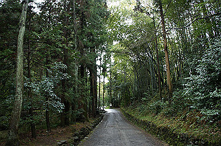 dsc07009_thumb.jpg