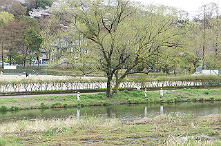 dsc07037_thumb.jpg