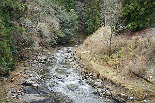 dsc07046_thumb.jpg