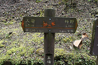dsc07050_thumb.jpg