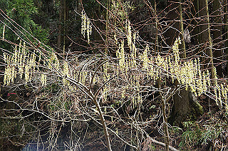 dsc07051_thumb.jpg