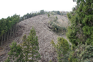 dsc07053_thumb.jpg