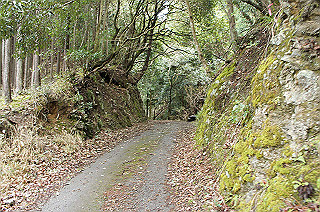 dsc07058_thumb.jpg