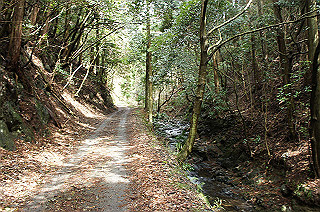 dsc07059_thumb.jpg