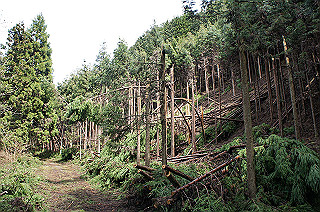 dsc07061_thumb.jpg