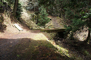 dsc07063_thumb.jpg