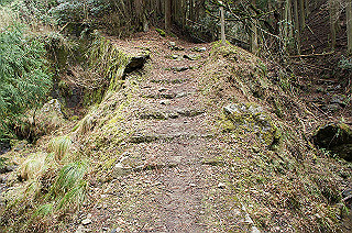 dsc07065_thumb.jpg