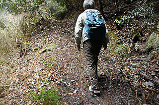 dsc07069_thumb.jpg