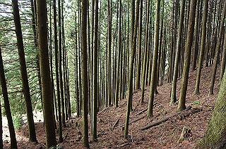 dsc07072_thumb.jpg
