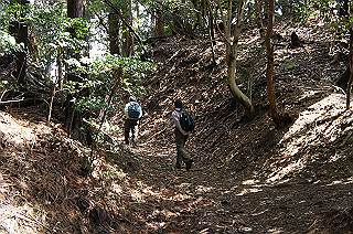 dsc07074_thumb.jpg