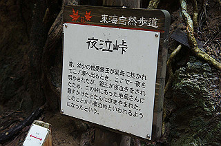 dsc07075_thumb.jpg