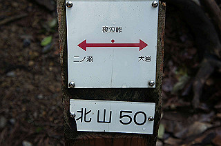 dsc07077_thumb.jpg
