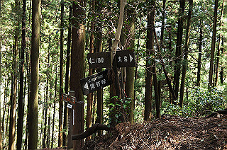 dsc07078_thumb.jpg