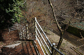 dsc07079_thumb.jpg