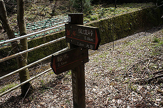 dsc07080_thumb.jpg