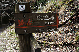 dsc07081_thumb.jpg