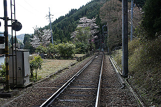 dsc07086_thumb.jpg