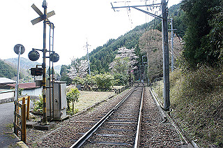 dsc07087_thumb.jpg