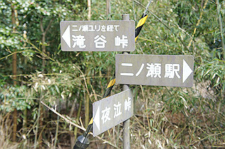 dsc07089_thumb.jpg