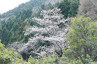 dsc07092_thumb.jpg