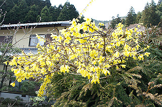 dsc07093_thumb.jpg
