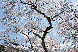 dsc07100_thumb.jpg