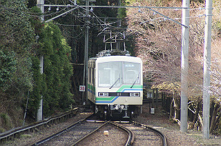 dsc07113_thumb.jpg