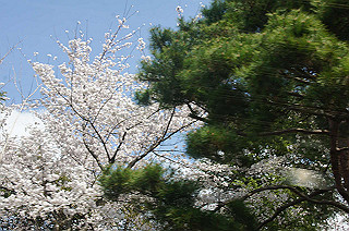 dsc07118_thumb.jpg