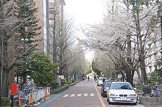 dsc07123_thumb.jpg